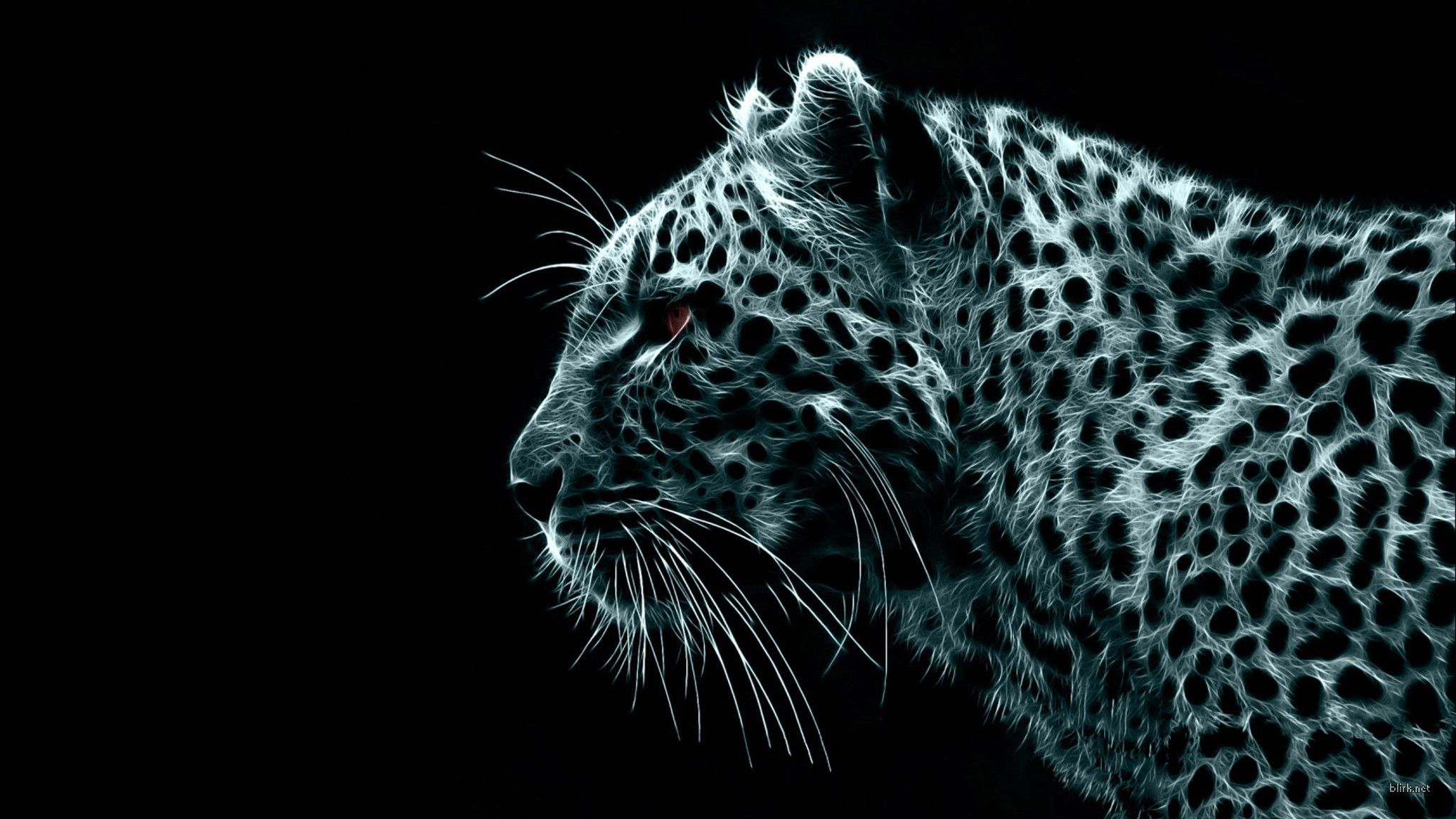 black white digital wild cat leopards leopard gaze art shine big #9IAf