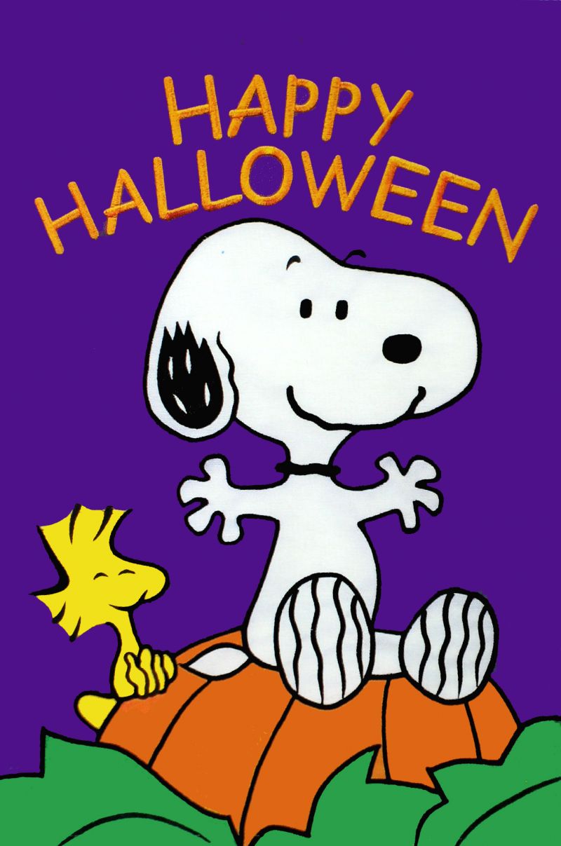 Download Charlie Brown Halloween Fun Party Wallpaper  Wallpaperscom