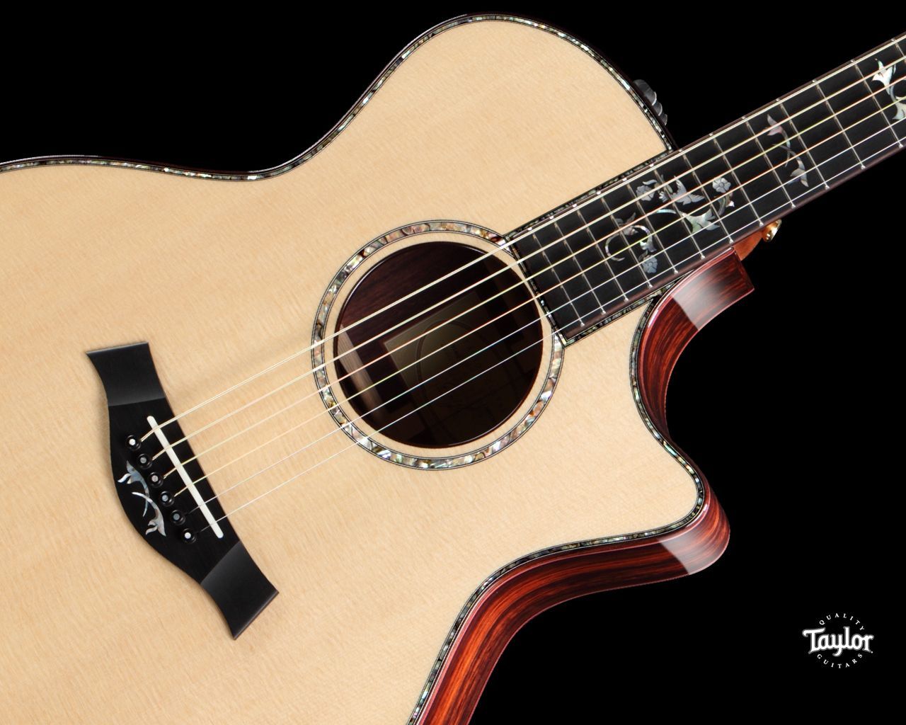 Taylor Guitars Taylor Guitars - Backgrounds