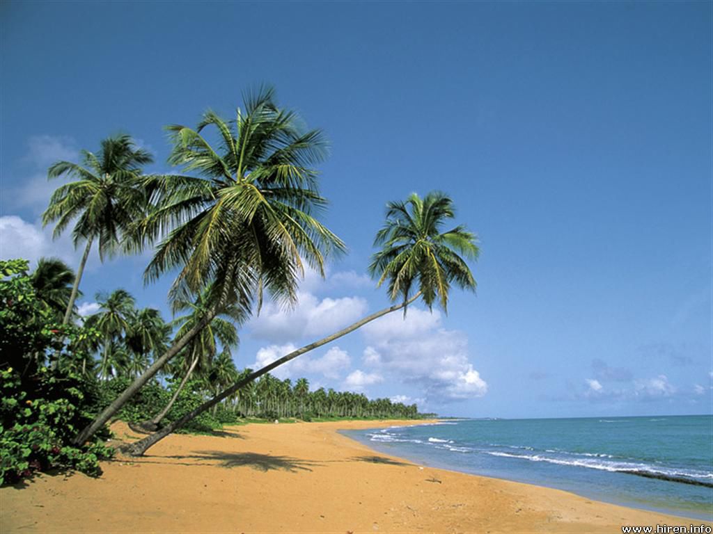 Download Beautiful Deserted Beach Puerto Rico Wallpaper | Full HD ...