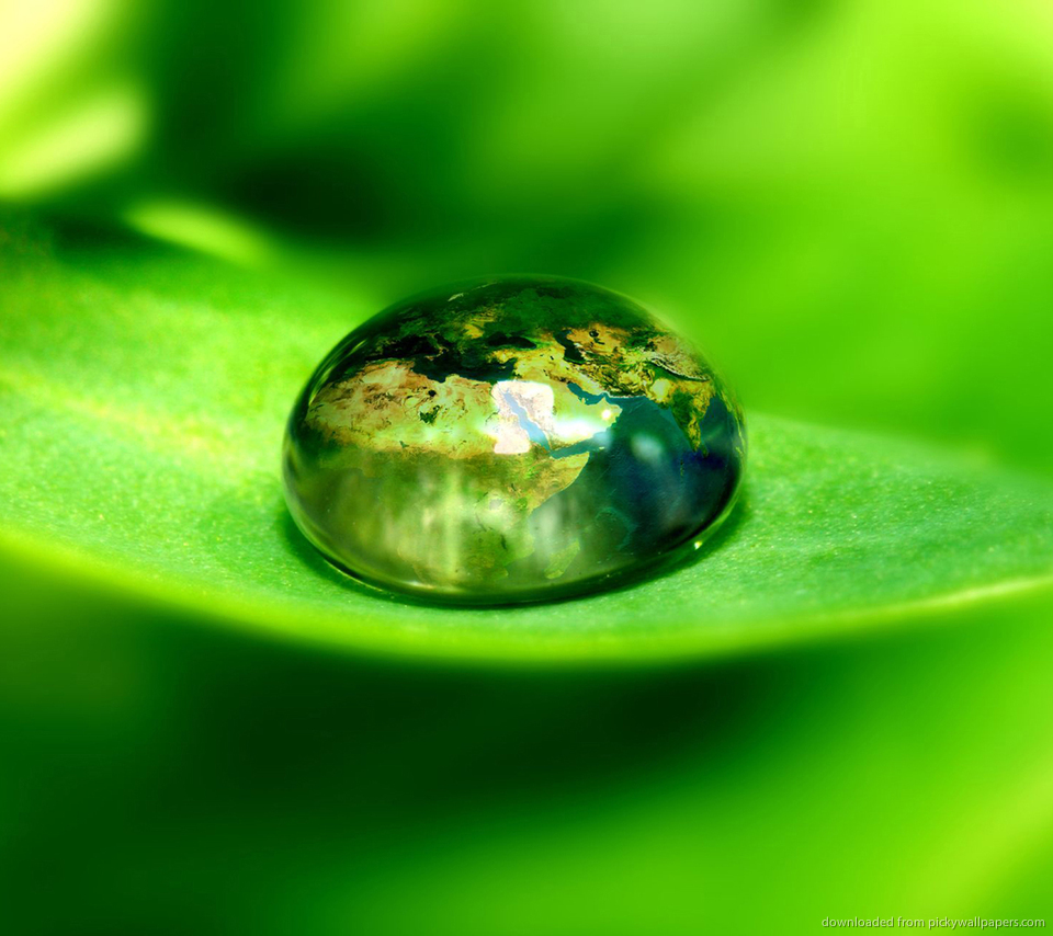 Download Water Drop On A Leaf Macro Wallpaper For Sony Ericsson