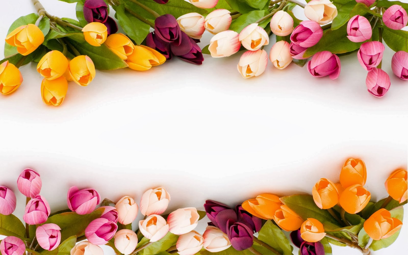 Best 10 Beautiful Flowers Fresh HD Wallpapers 2014 | World Fresh ...