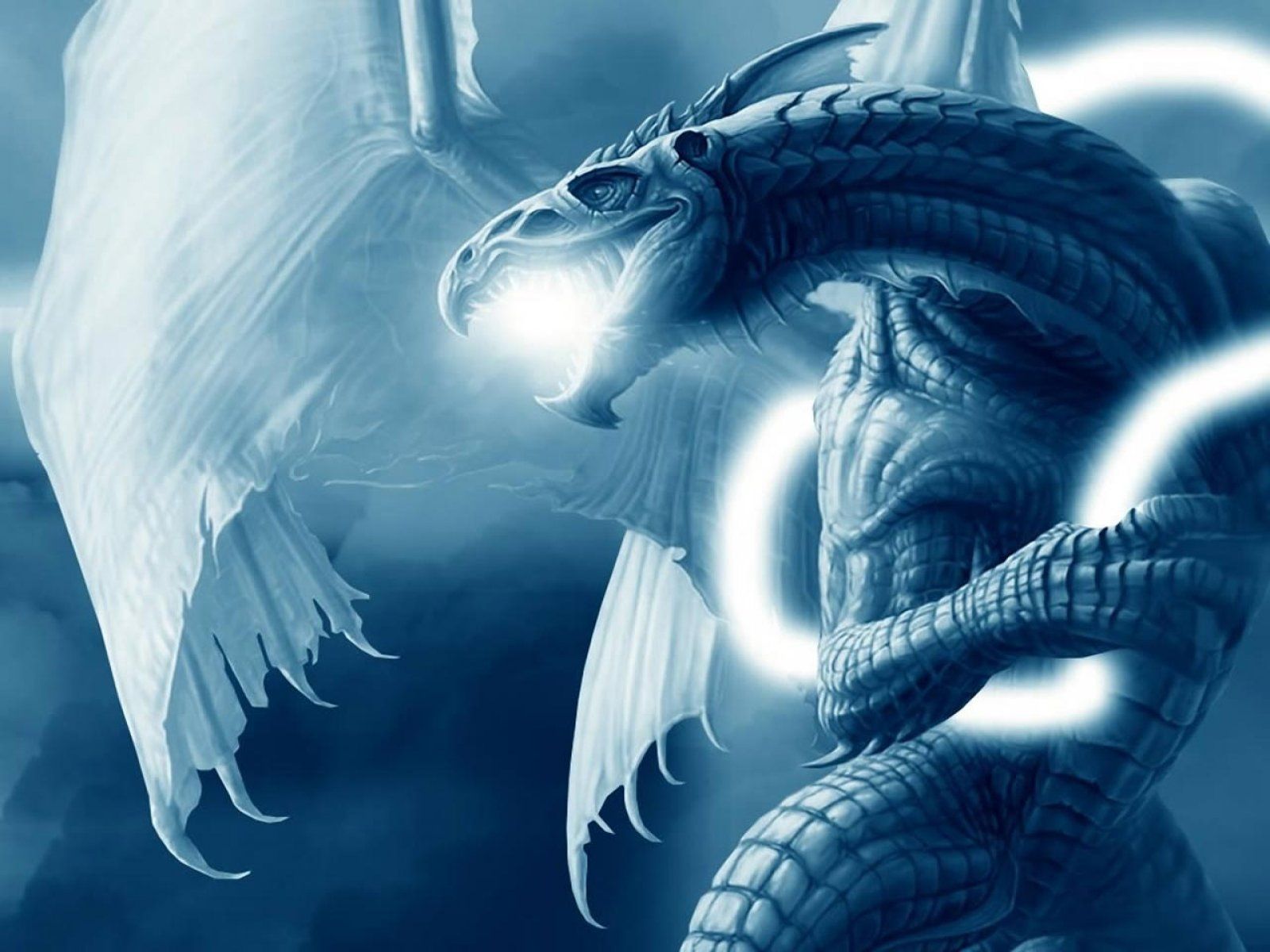 Top Blue Dragon Wallpaper Images for Pinterest