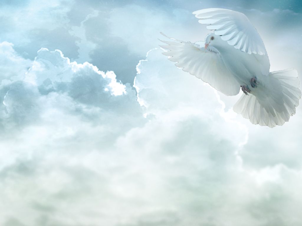 Holy Spirit Dove Pictures, Images & Photos Live HD Wallpaper HQ