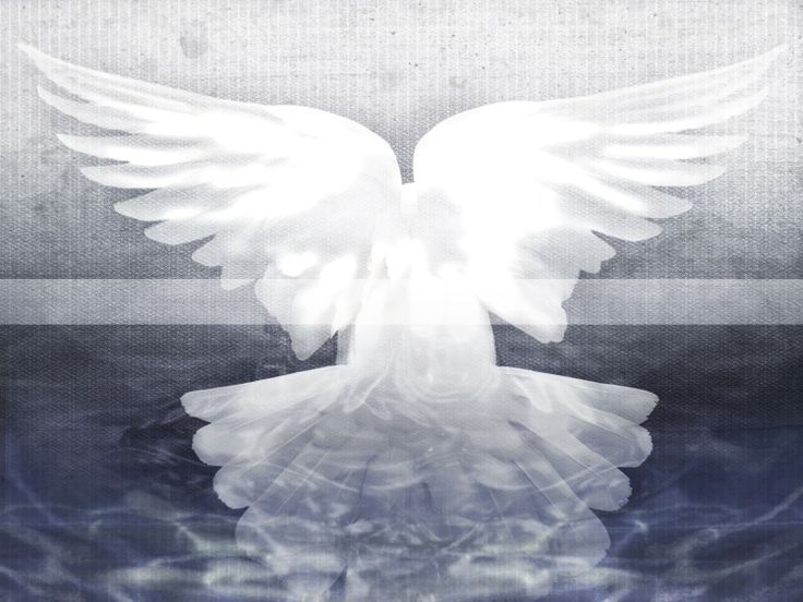 Holy Spirit Dove Worship Background - Your HD Wallpaper #ID71151