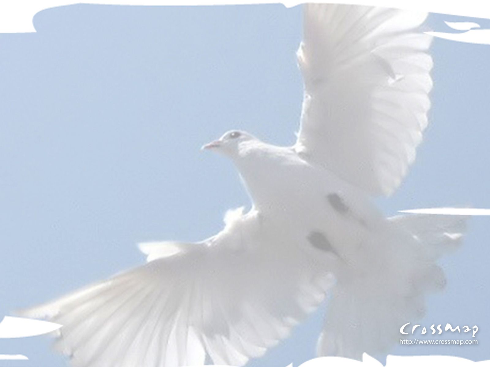 Holy Spirit Dove 5 Christian Photographs Crossmap Christian