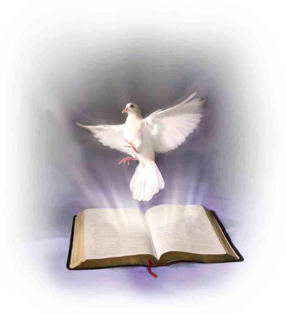 Свет слова божьего. Голубь и Библия. Христианский голубь. Голубь в православии это символ. Святой дух.