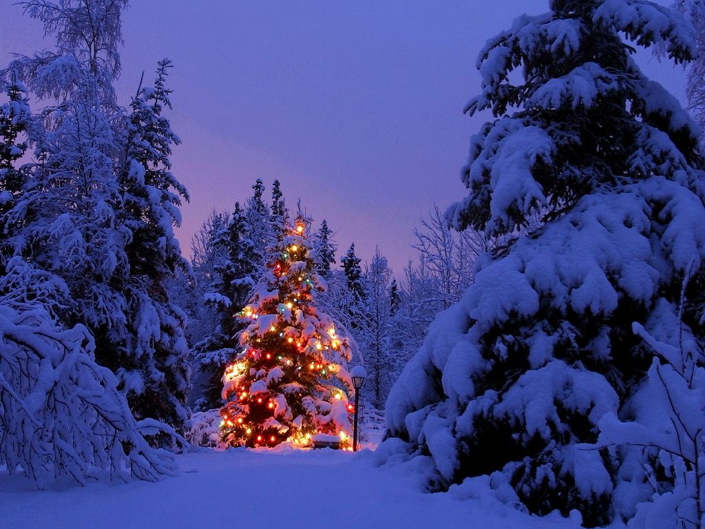 HD Christmas Nature Wallpapers, Beautiful Christmas Pictures for ...