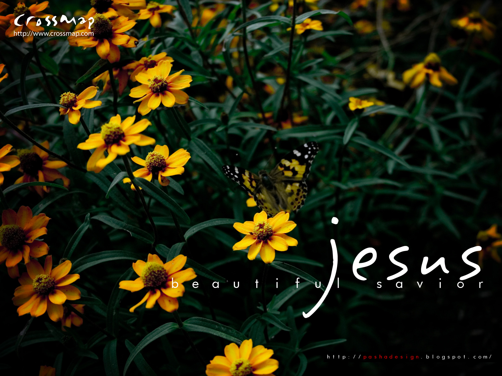 Jesus Beautiful Savior 4 | Christian Photographs | Crossmap ...