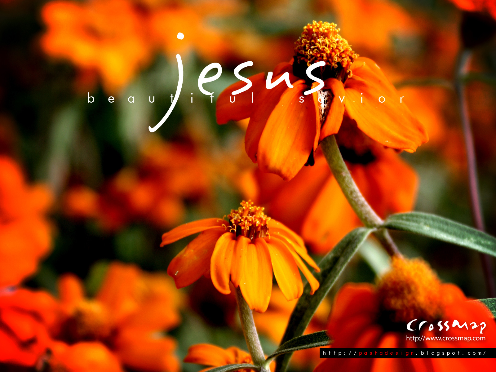 Jesus Beautiful Savior 3 | Christian Photographs | Crossmap ...