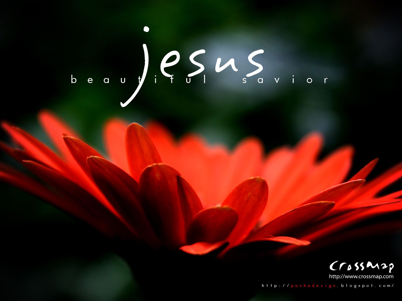 Jesus Beautiful Savior 1 Christian Photographs Crossmap