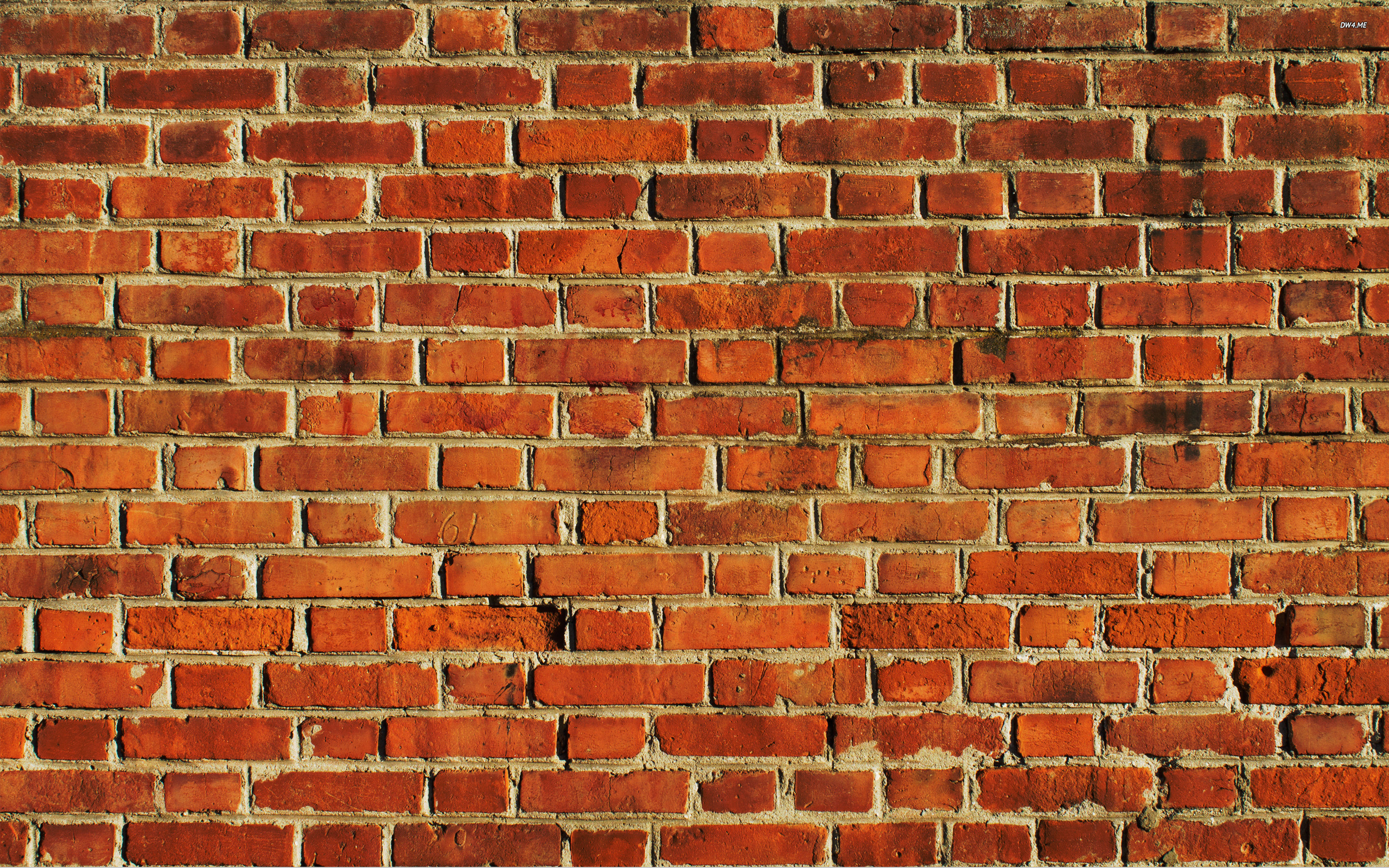 Brick Wall Collection 39