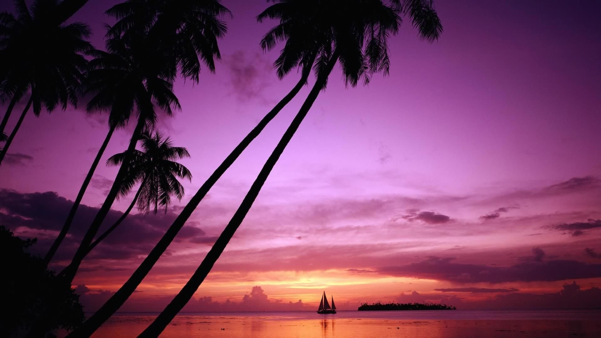 Palm-Tree-Beach-Sunset-Wallpaper-Desktop-Background-hugohd.com_ ...