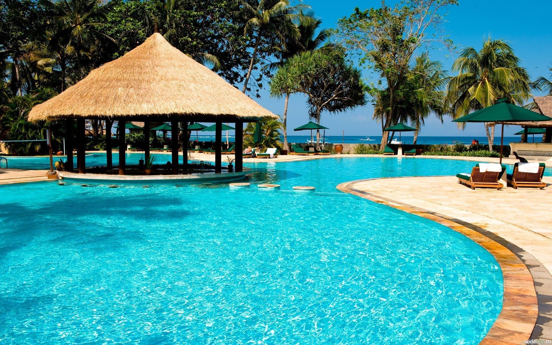 10 Swimming Girl Vacation Pool Water Palm Trees Hd Desktop ...
