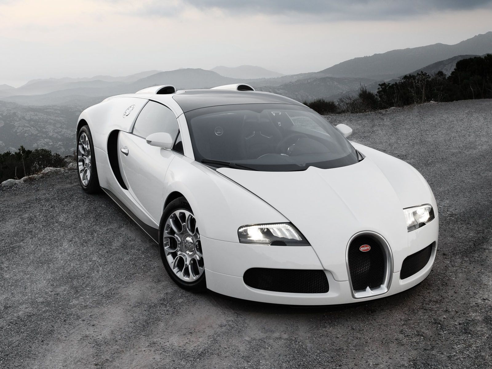 white bugatti veyron wallpaper | Cars Hd Wallpapers