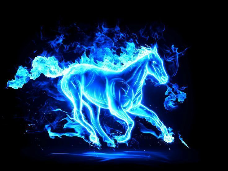 Horse Fire Animals 3D Graphics wallpaper background | animals ...