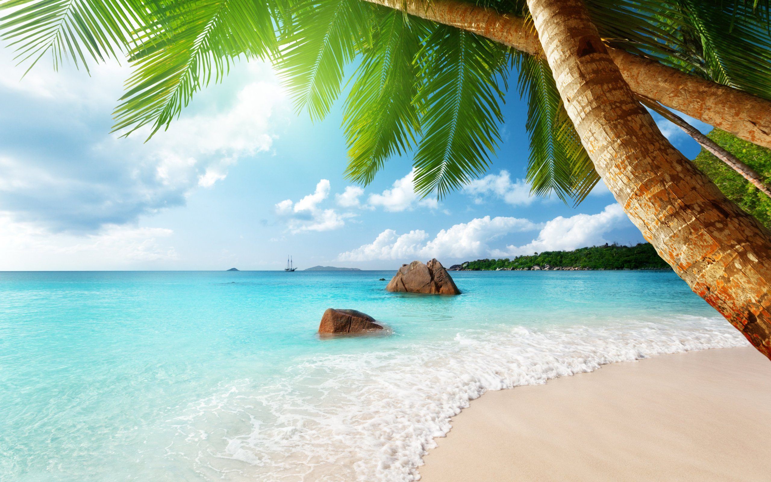 Beautiful Ocean Beach Landscape Wallpaper HD Download
