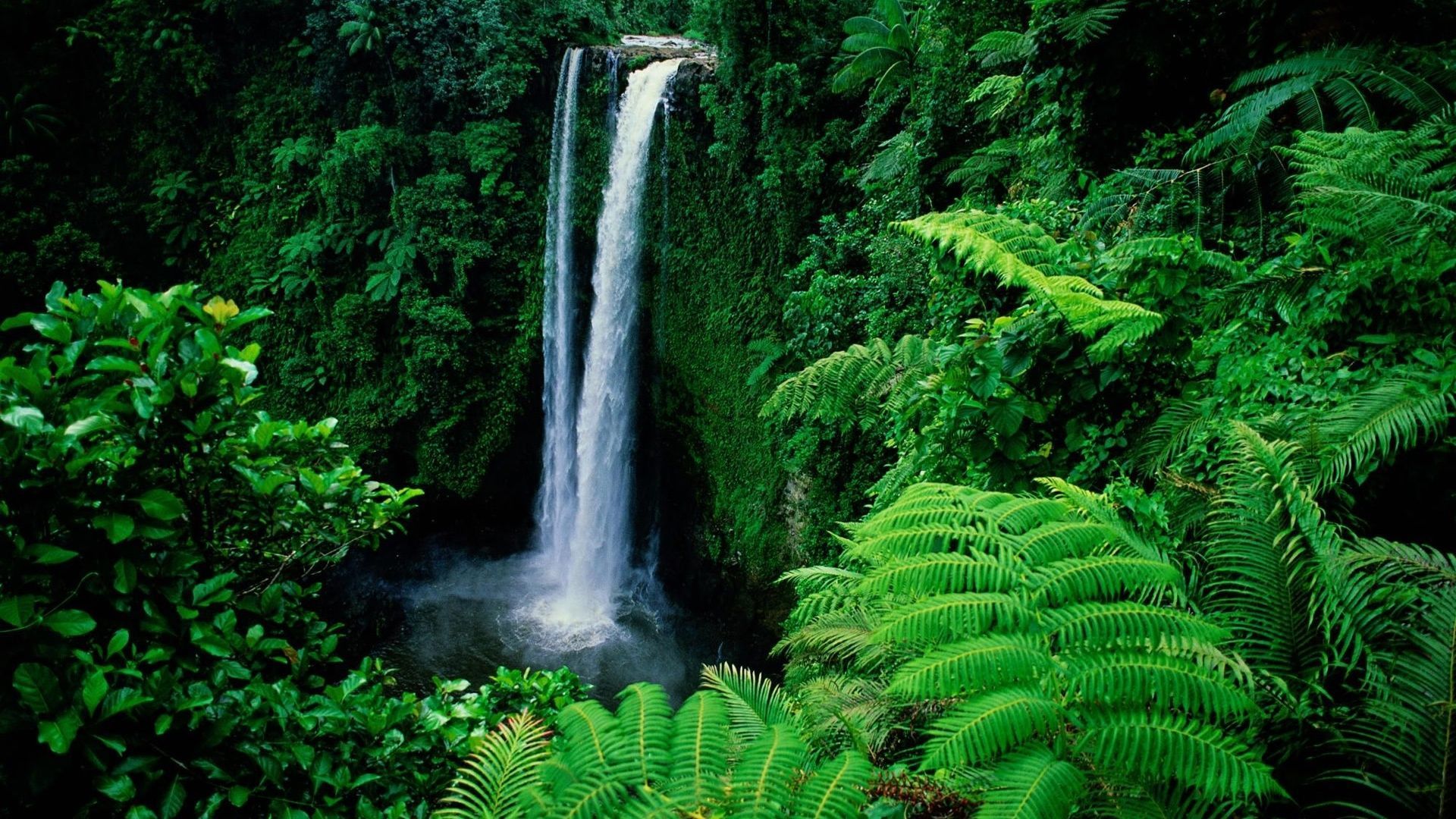 Nature-Green-Waterfall.jpg