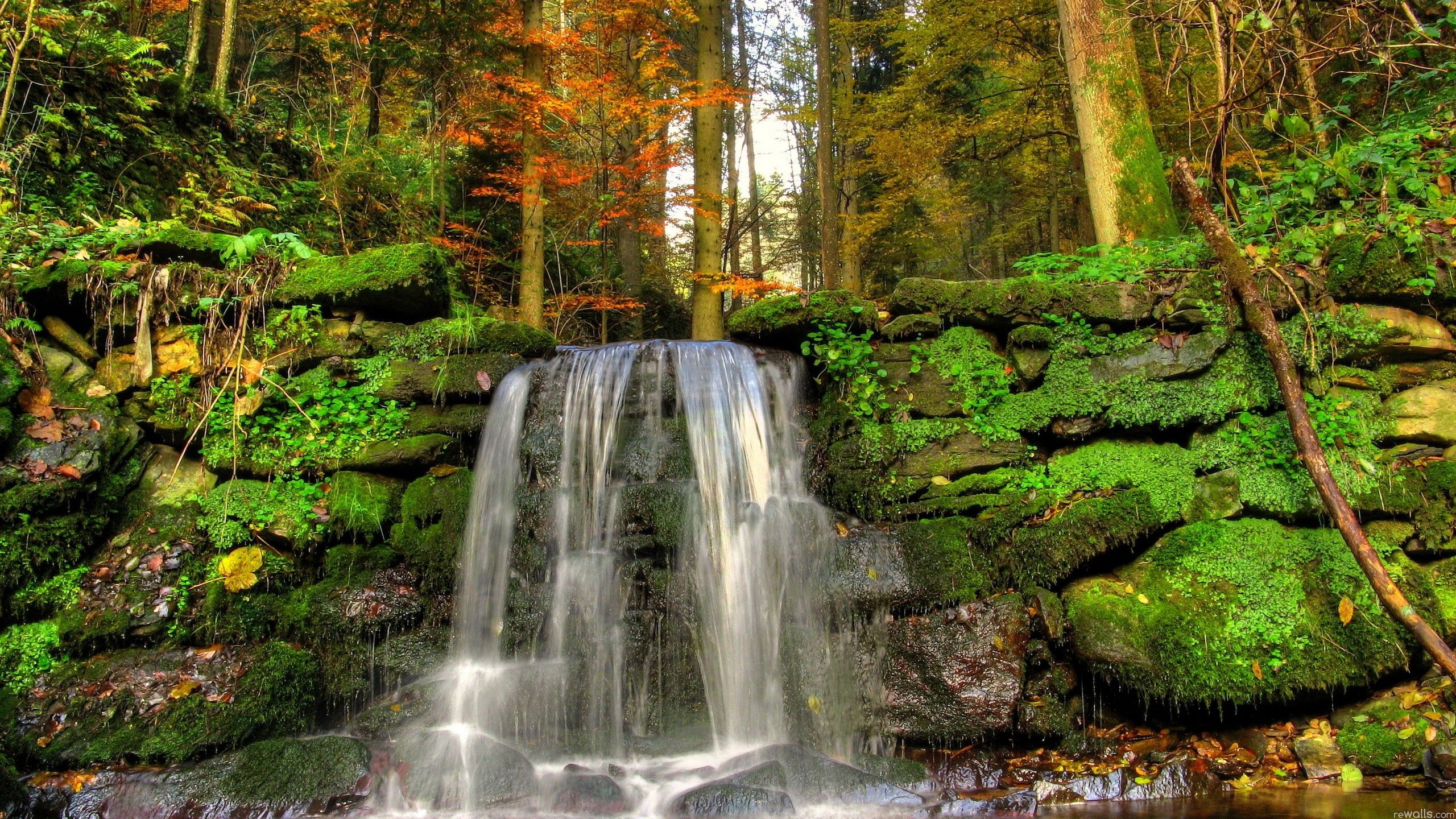 Waterfall, 2560x1440 HD Wallpaper and FREE Stock Photo