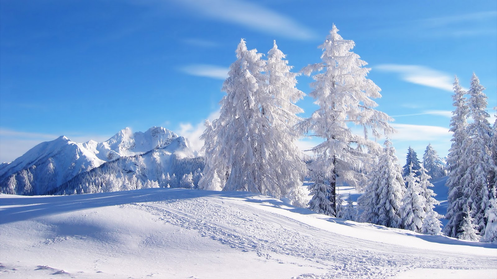 Winter Background Wallpapers WIN10 THEMES