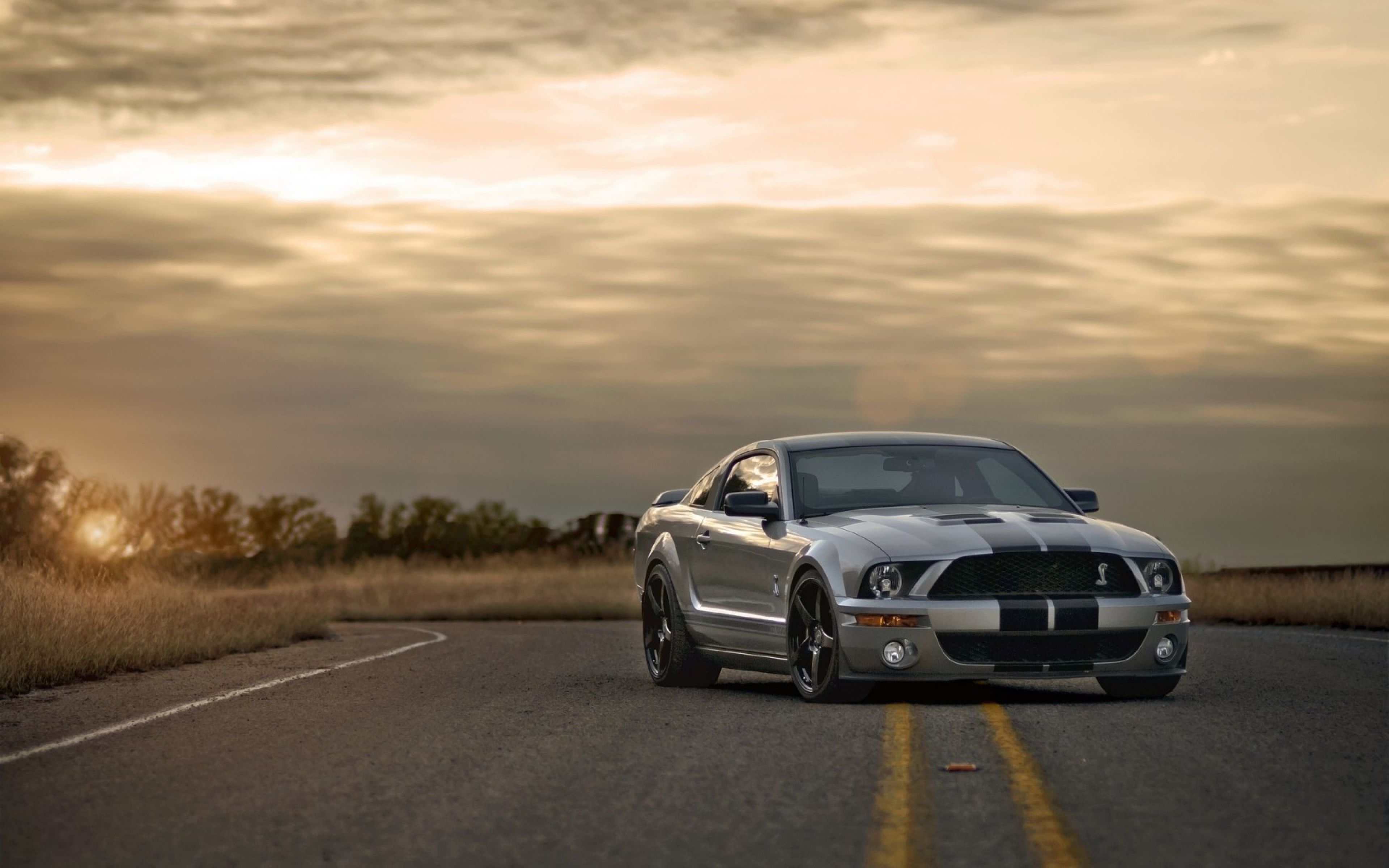 Download Wallpaper 3840x2400 Ford, Mustang, Shelby, Silver, Muscle ...