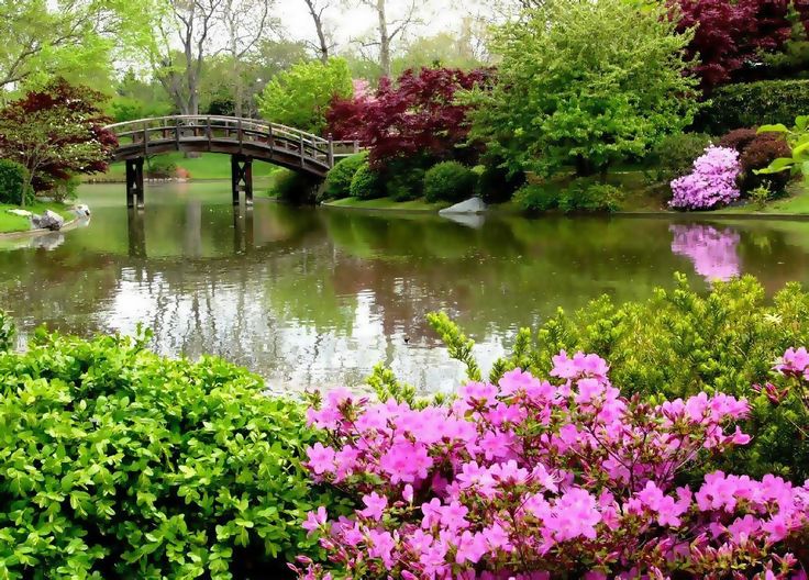 Peter Soothing Bridge Scenery PC WALLPAPERS THAT ARE BEAUTIFUL