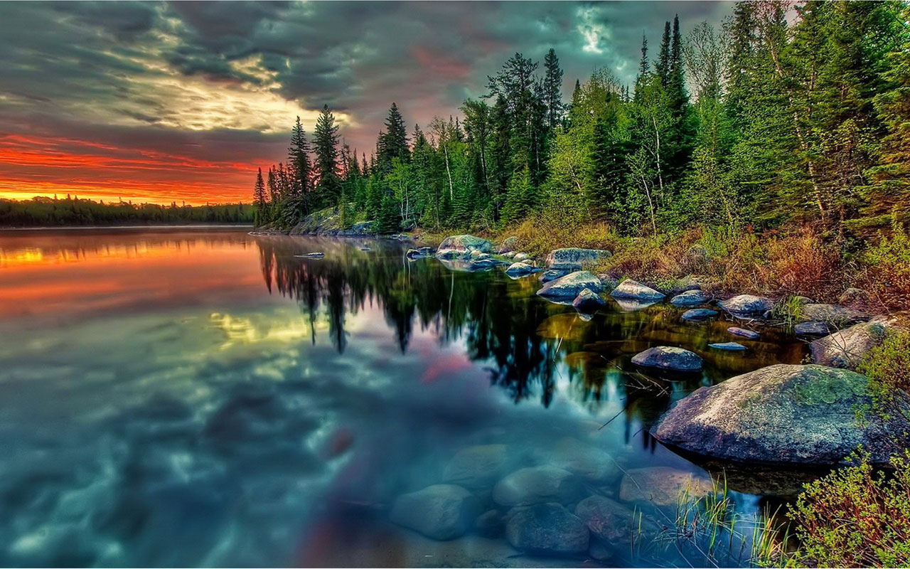 Rendering like natural beauty the pebble in the lake with