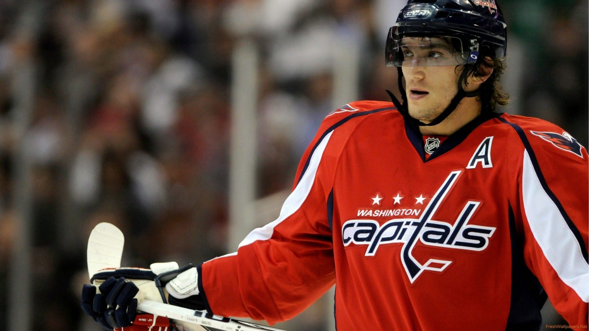 alex ovechkin wallpapers | Freshwallpapers
