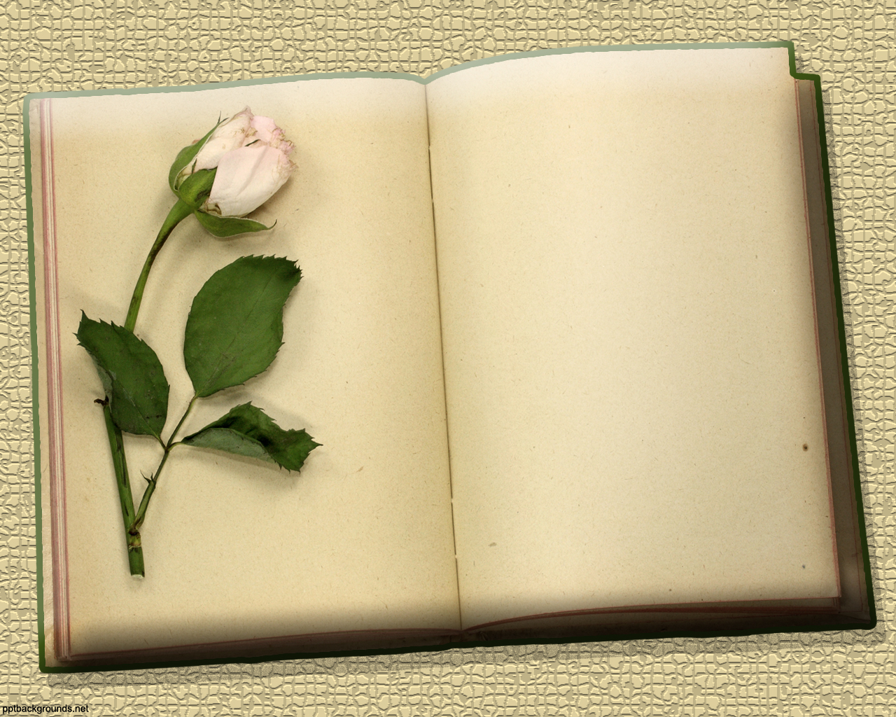 Flowers and Vintage Blank Books Download PowerPoint Backgrounds ...