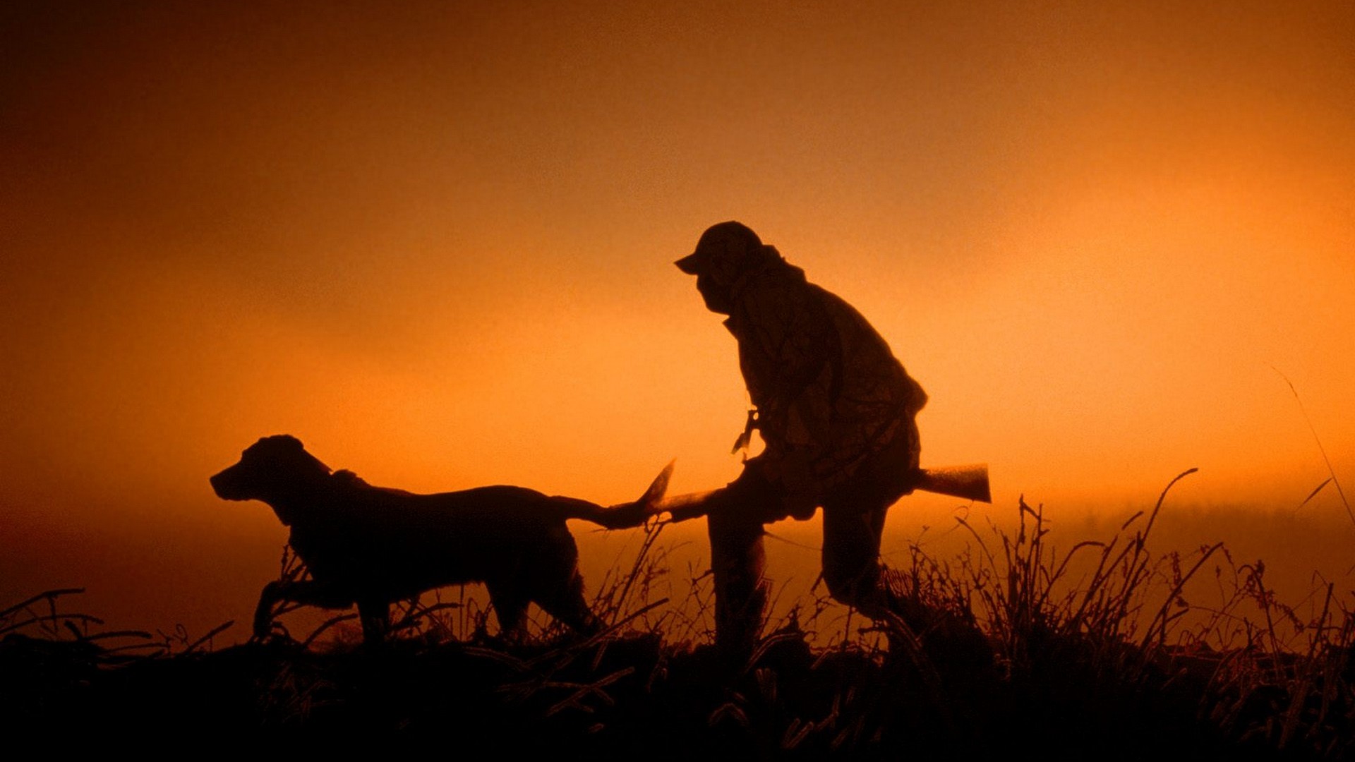 Sunset guns dawn hunter silhouettes dogs dusk hunting wallpaper ...