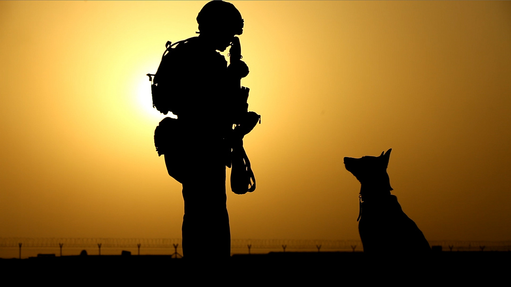 Free Images Wars, Soldiers, Silhouette, Dogs, People Animals