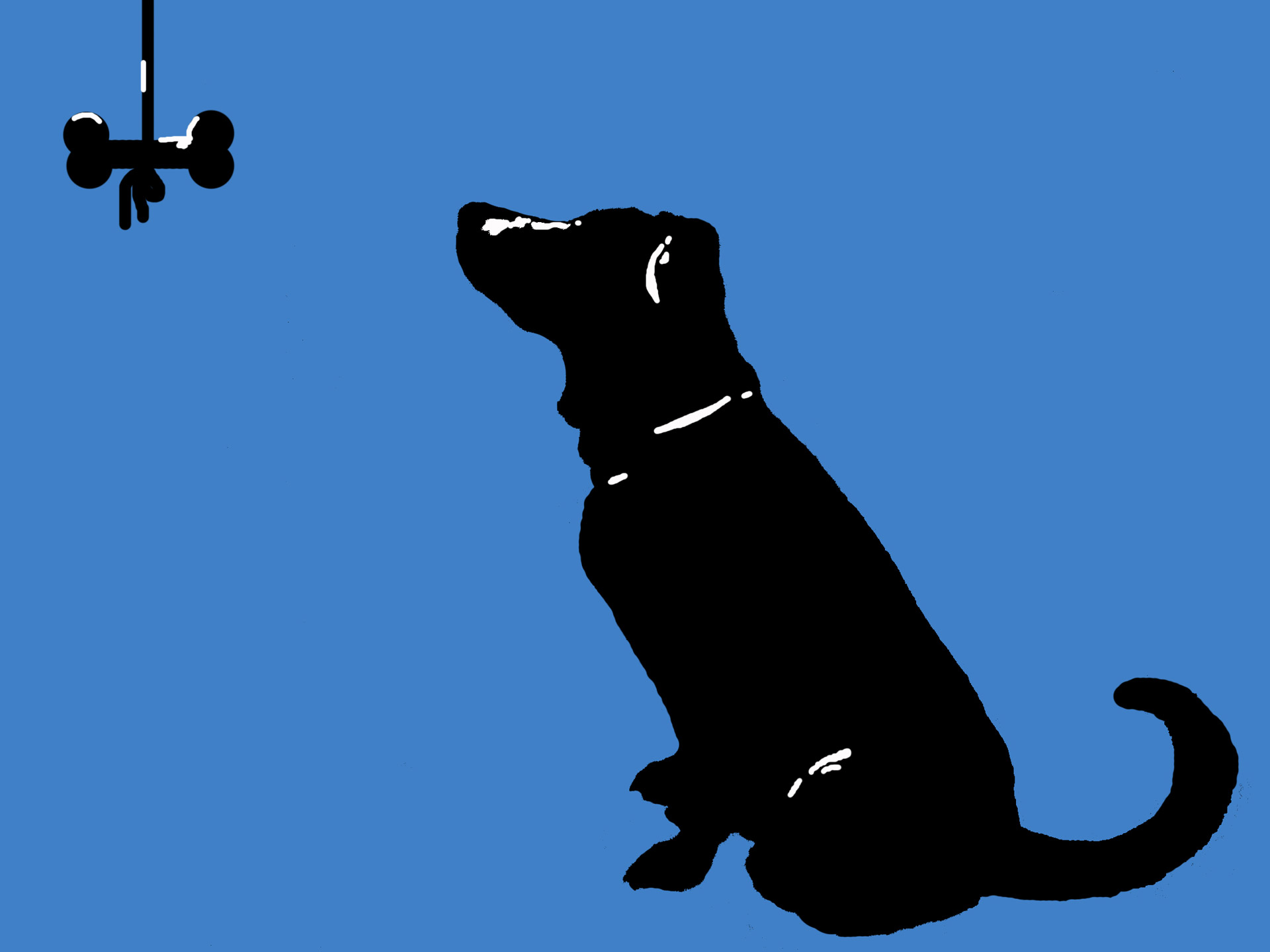 Tempting A Dog Silhouette Free Stock Photo HD - Public Domain Pictures