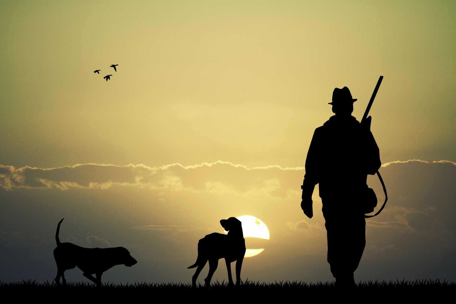 Silhouette hunt rifle the gun rifle hunter two dogs plain sunset