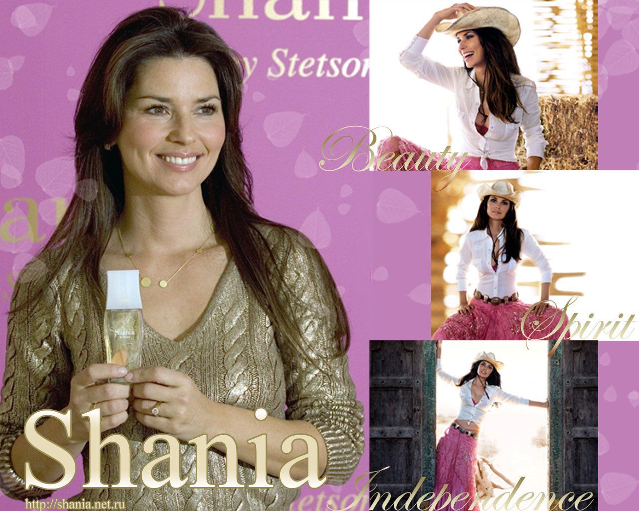 Shania Twain - Shania Twain Wallpaper (22670525) - Fanpop