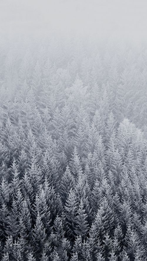 File attachment for Apple iPhone 6 Plus Wallpaper - winter with ...