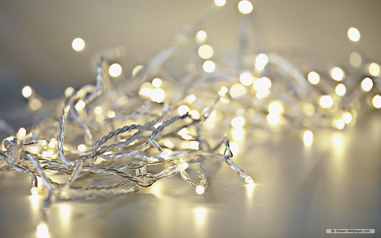 Light up the Dark Days with Professional Christmas Lights ...