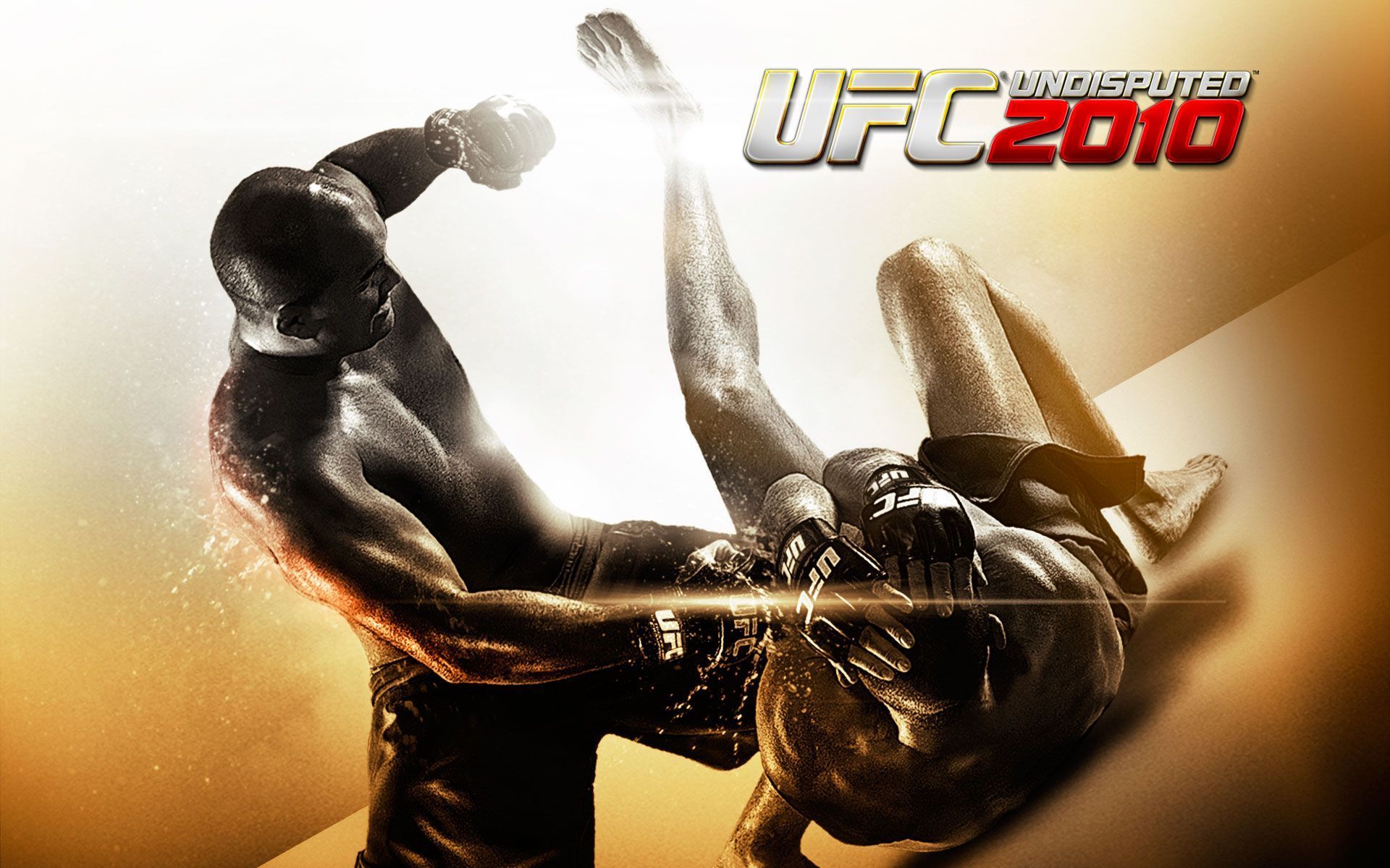 UFC Fighting Wallpapers HD 2014