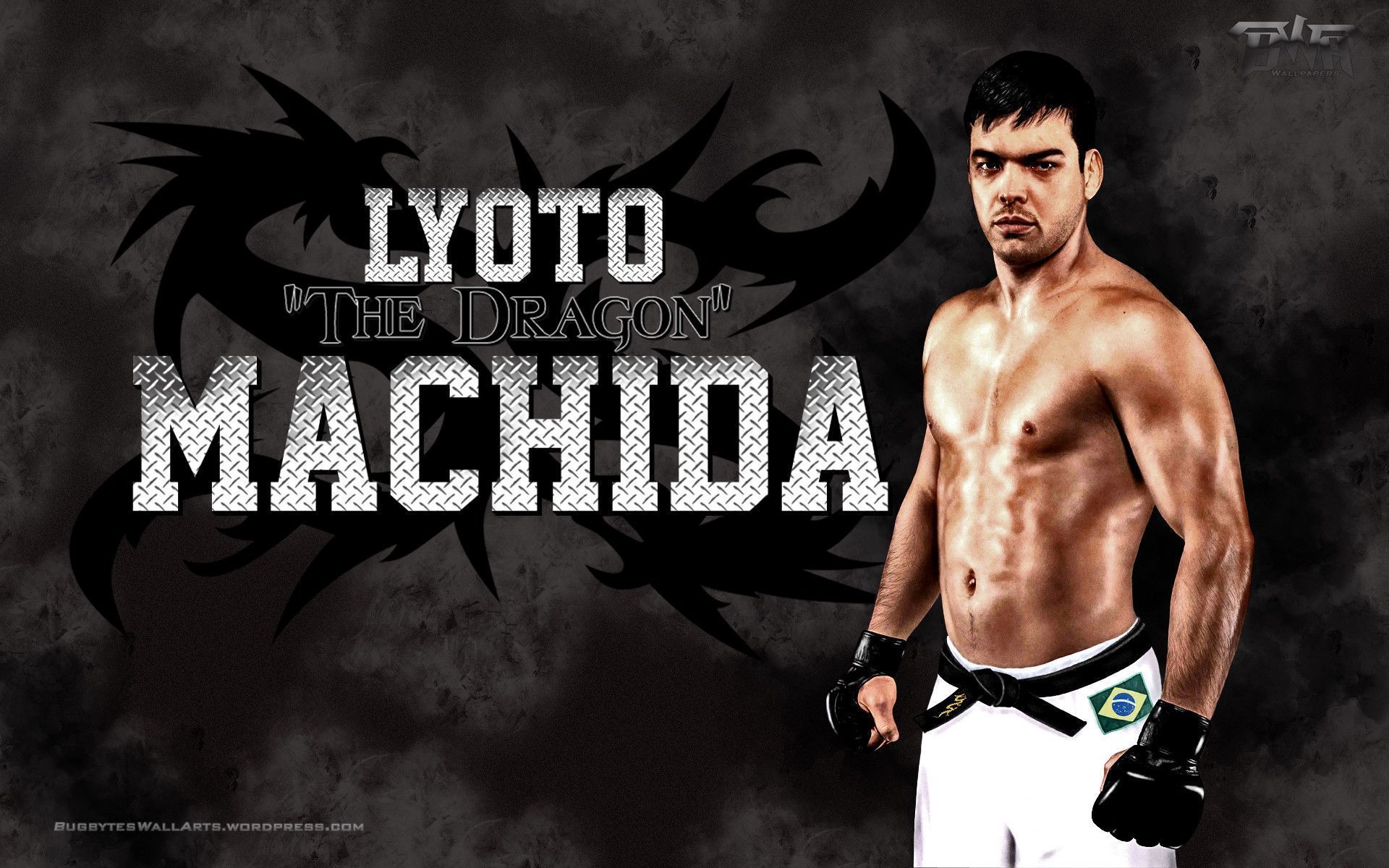 Ufc Fighters Backgrounds
