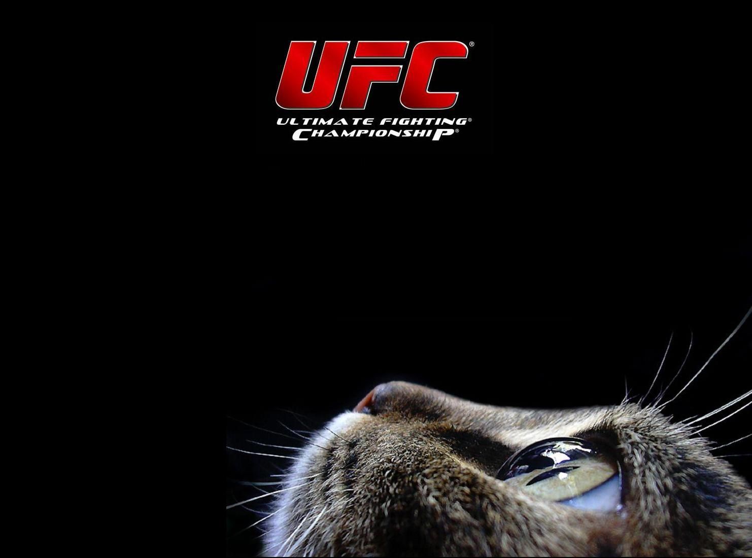 UFC Desktop Full HD Pictures