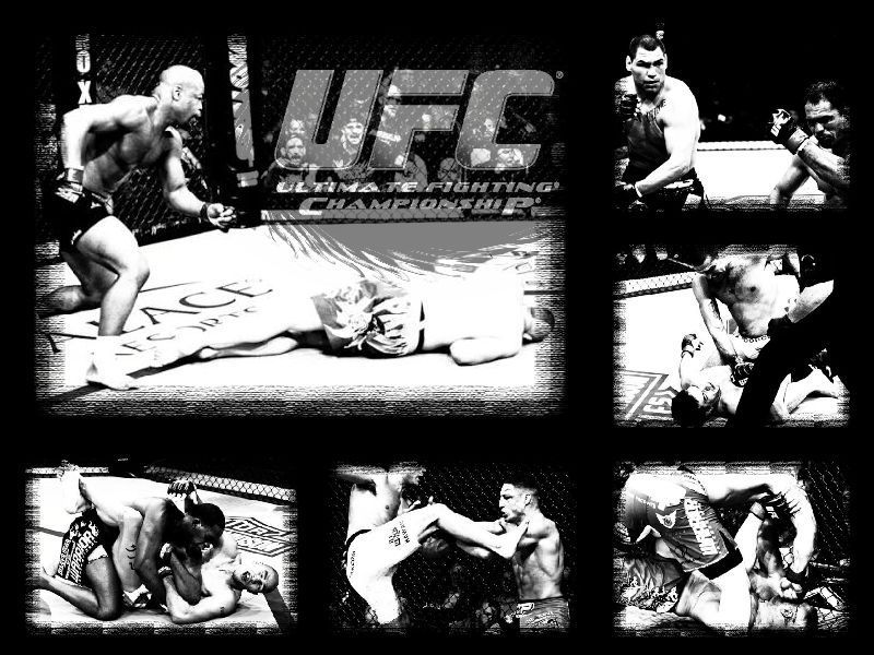 UFC desktop wallpapers Fighter Trends - MMA Gear News & Reviews