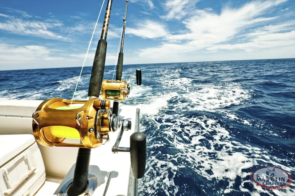 Deep Sea FISHING CHARTER | Santo Domingo| Juan Dolio. Boat for ...