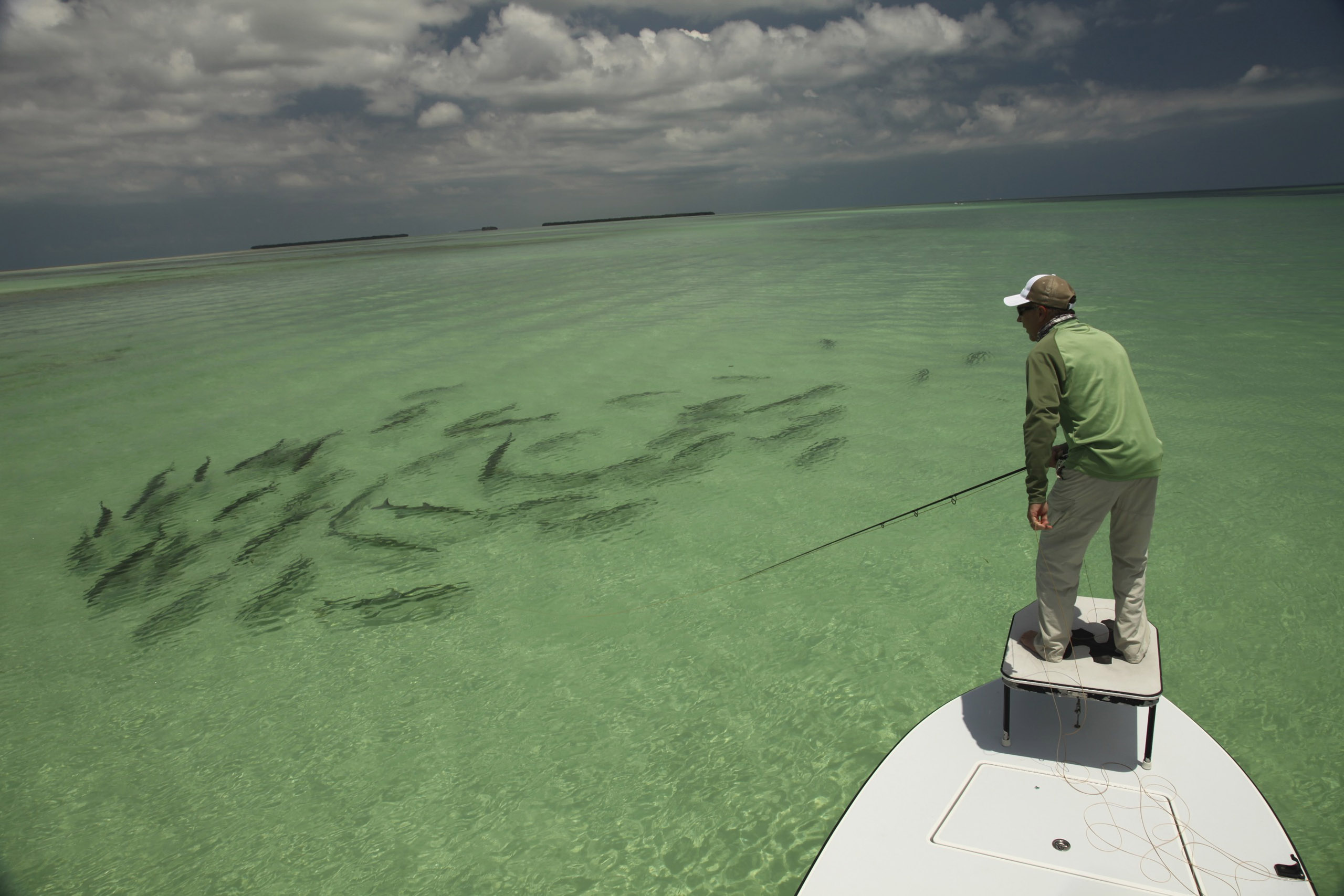 Fly Fishing for Permit World Angling