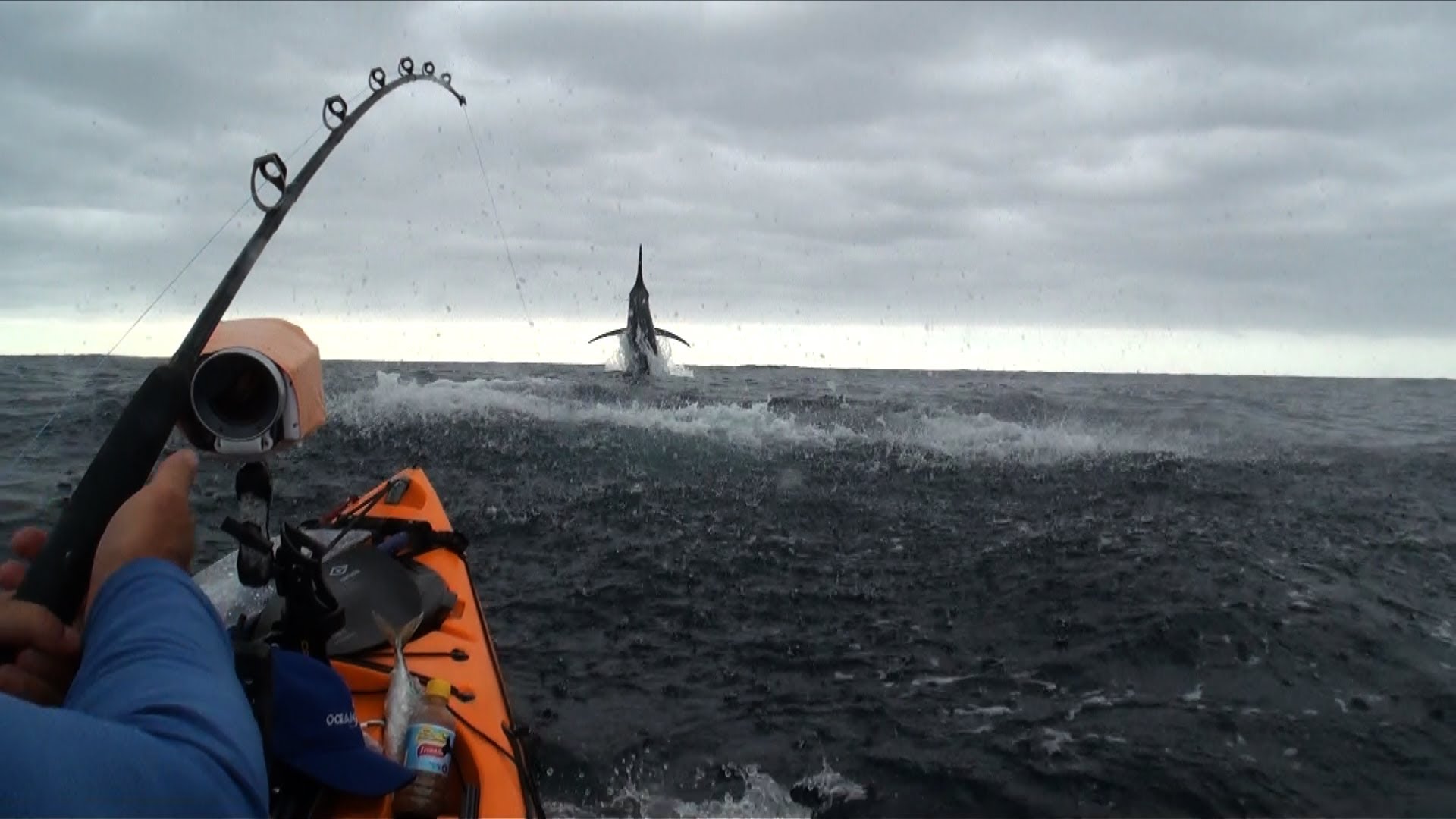 Big Marlin from Kayak Australia and sharks from kayak - YouTube