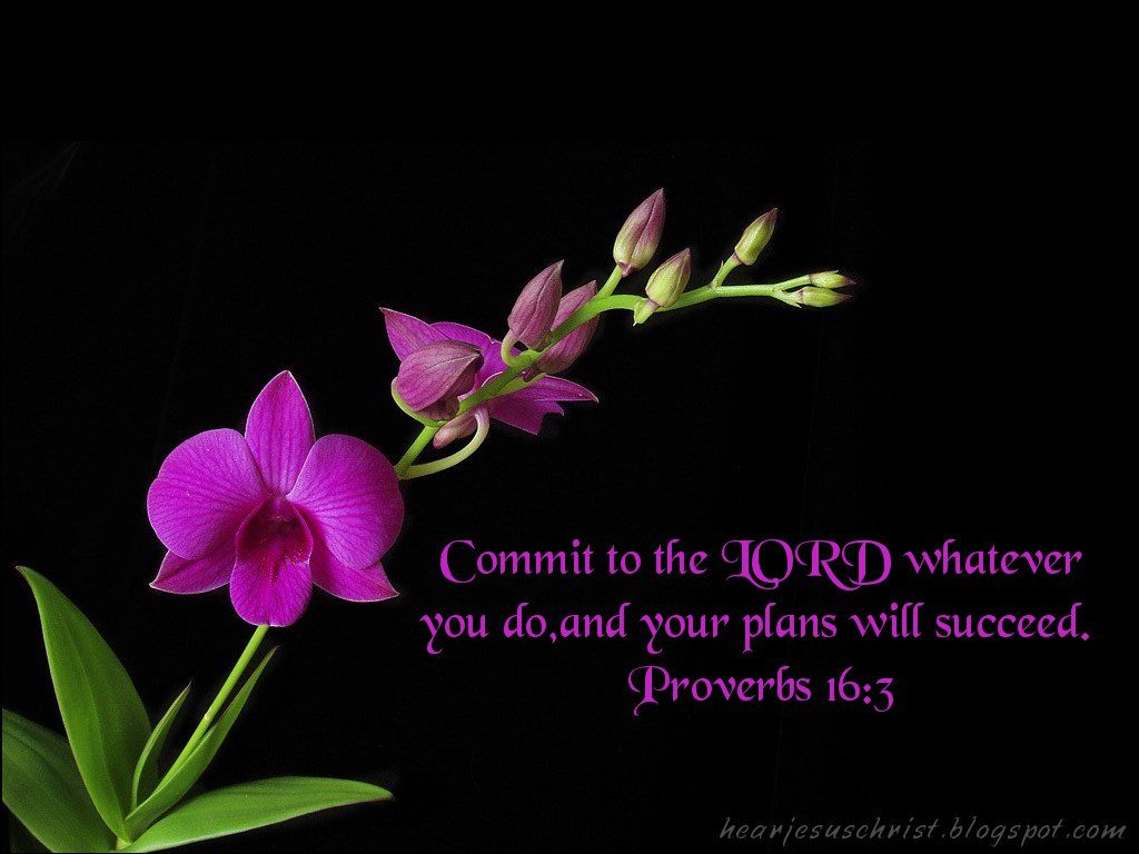 Download Christian Bible Verse Proverbs Wallpaper 1024x768 | Full ...