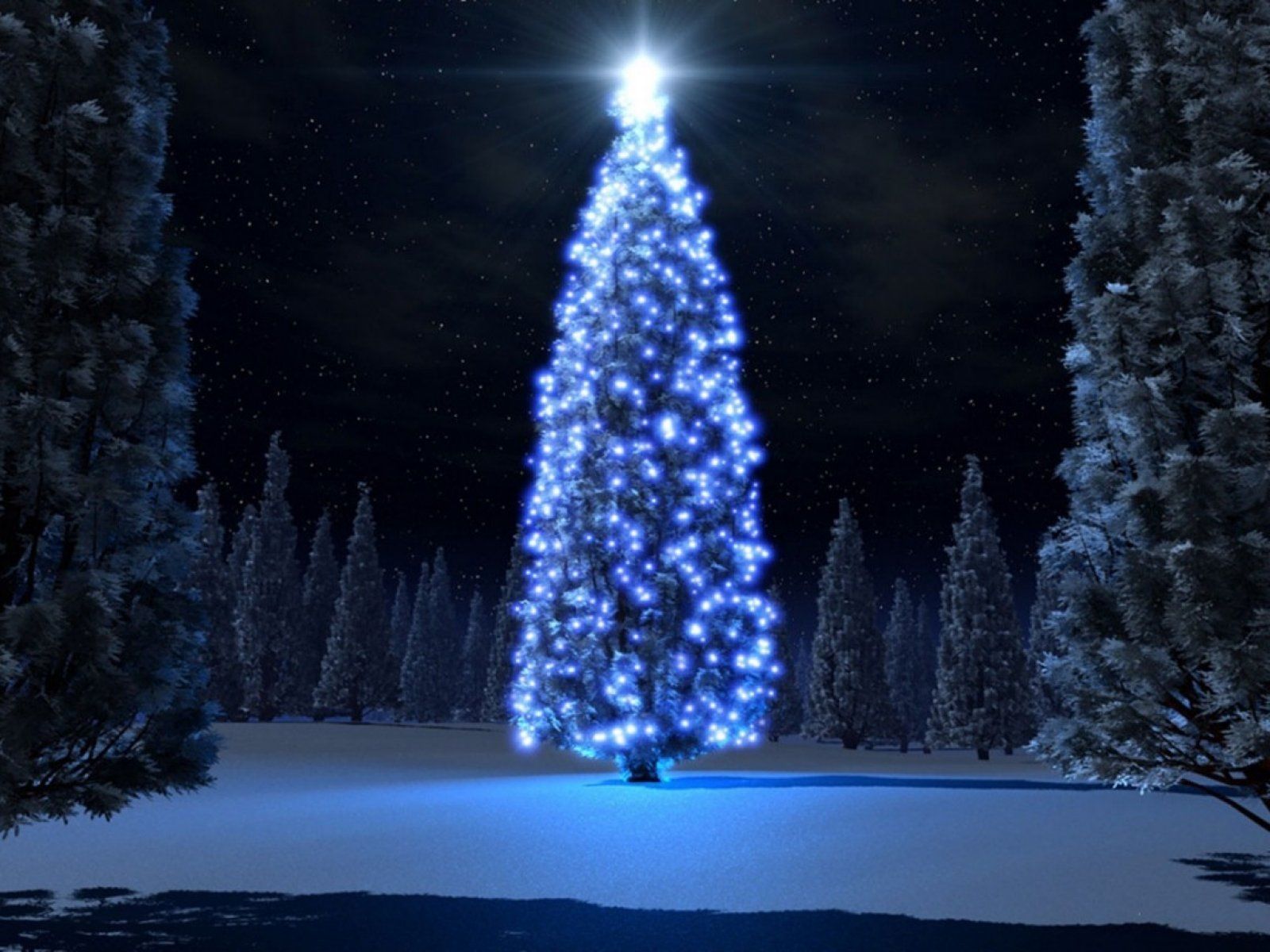 Free Magnificent Christmas tree computer desktop wallpaper