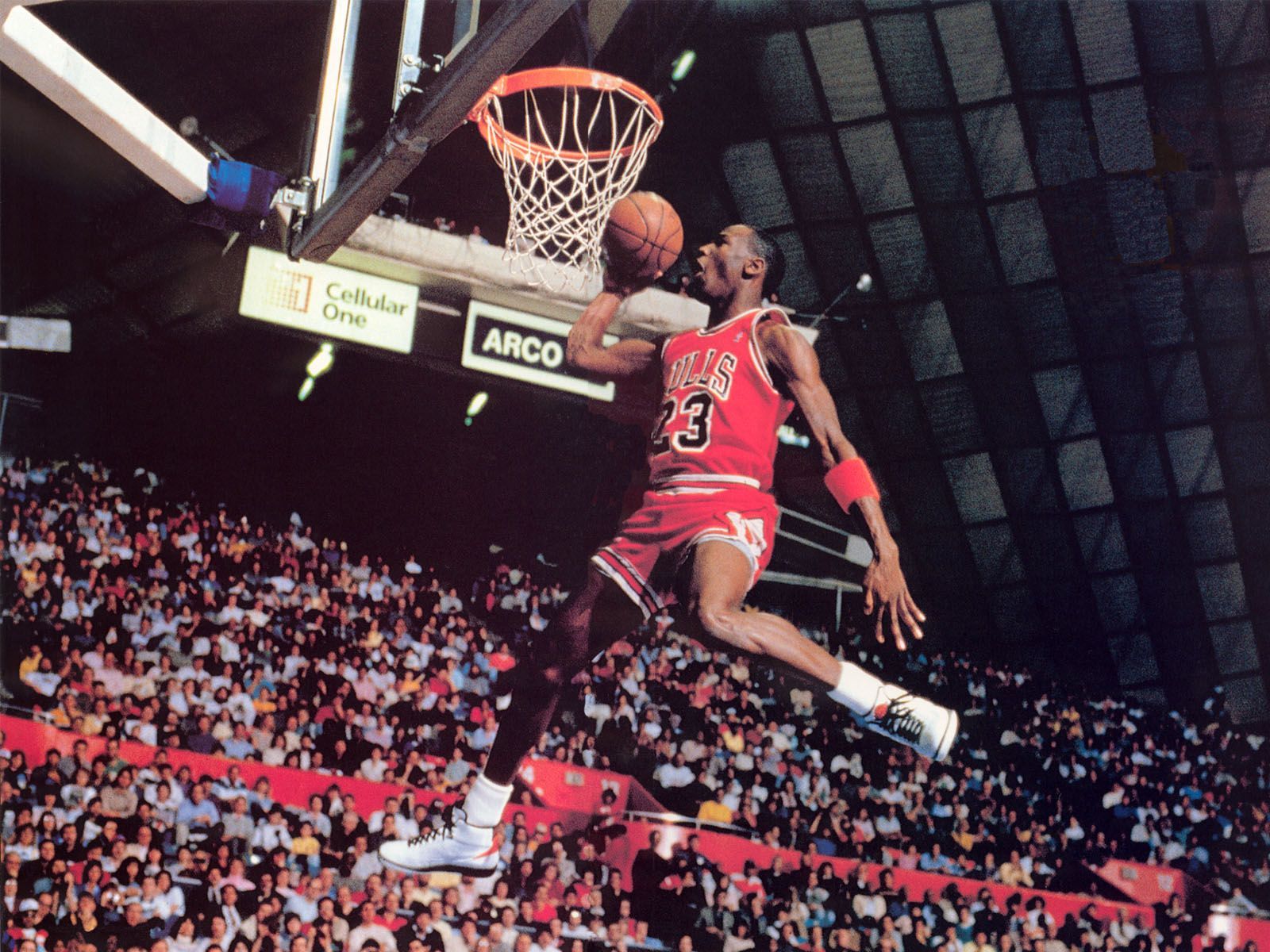 All Sports Players Reviews: Michael Jordan American Basket Ball ...
