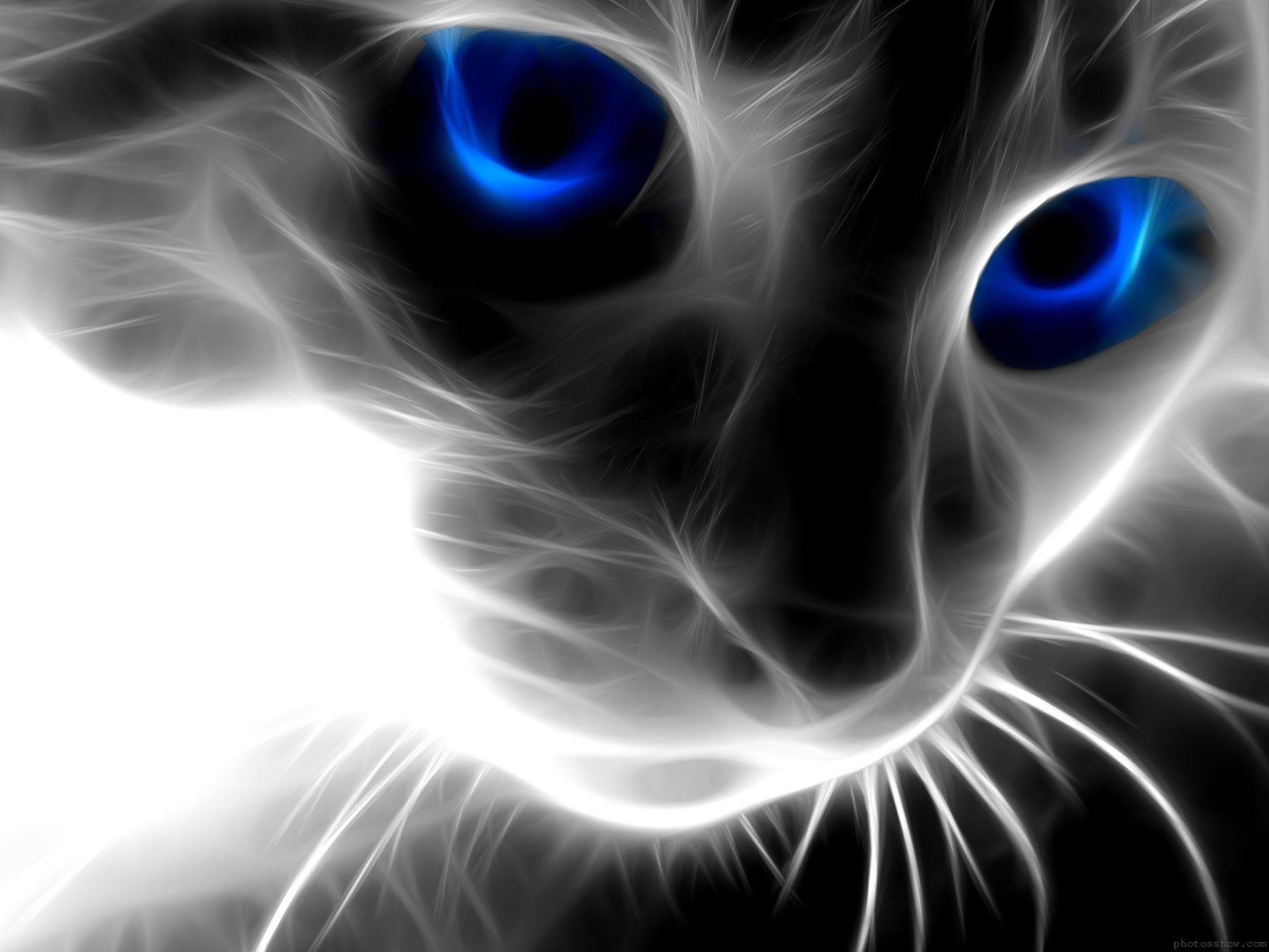 Download Black Cat Blue Eyes Wallpaper 1920x1440 Full HD Backgrounds