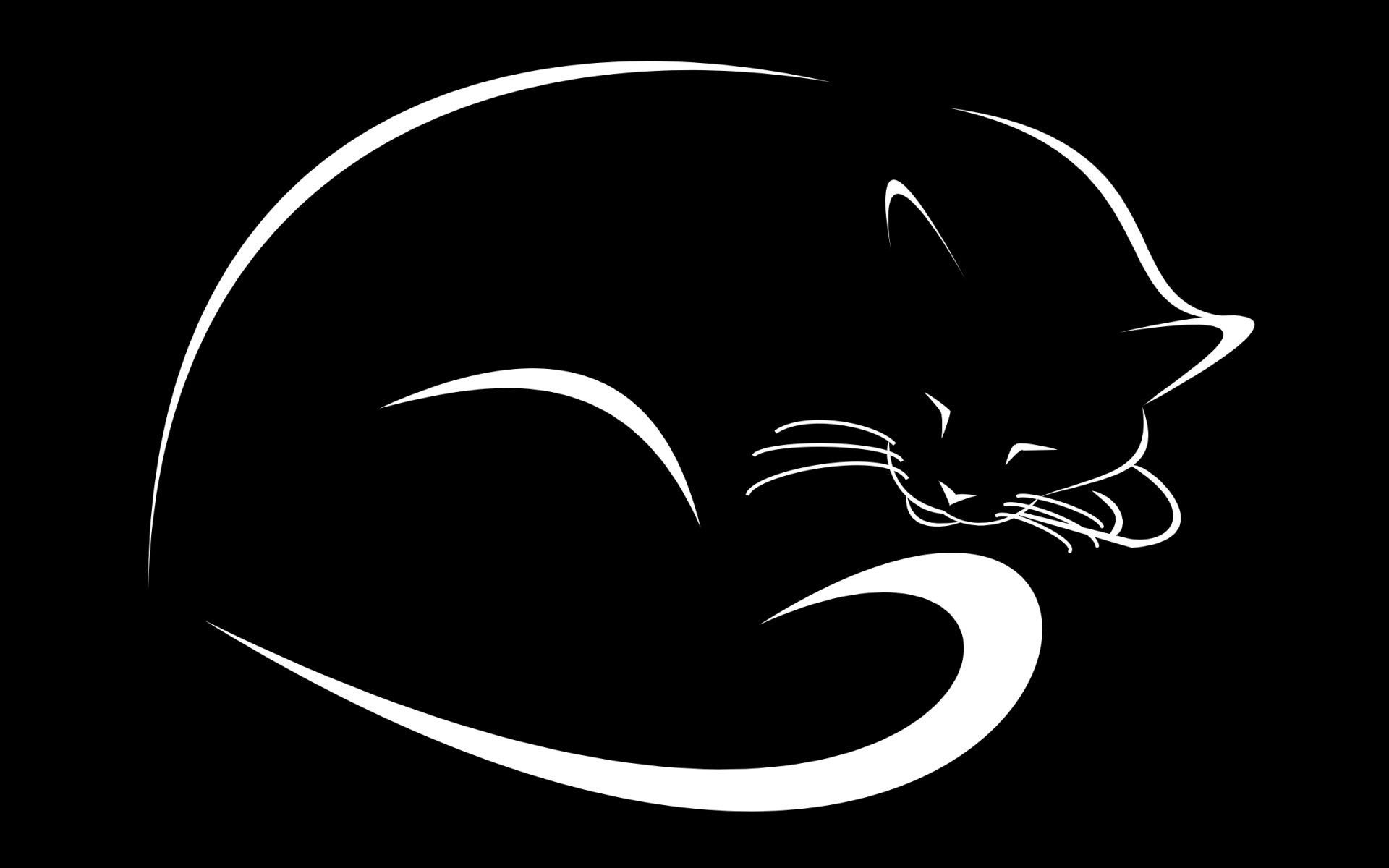 Download-black-cat-Wallpaper - Cute Cat Wallpapers