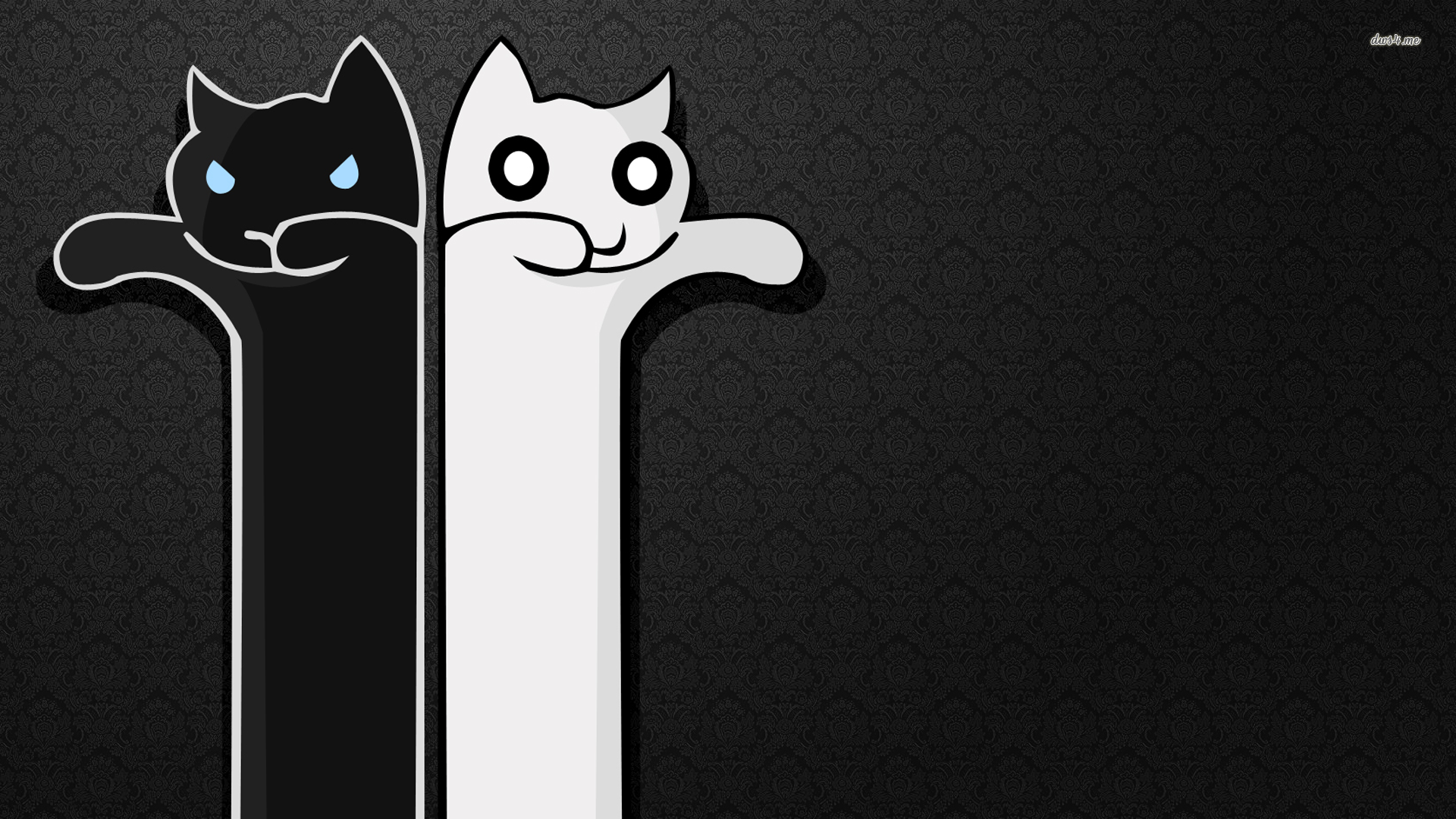 Black cat and white Longcats wallpaper - Vector wallpapers - #11165