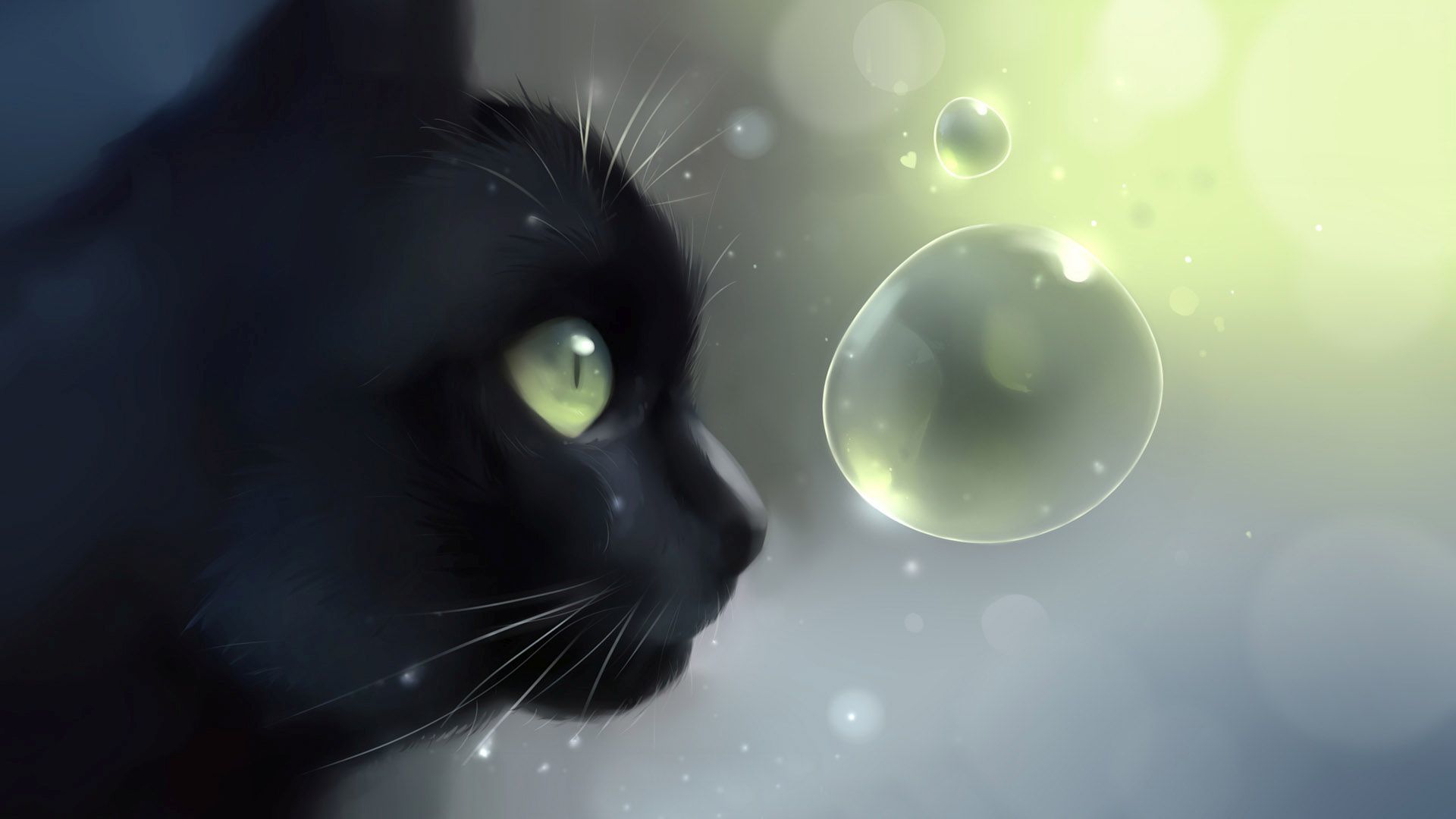 Black cat looking at the bubbles Wallpaper 24834